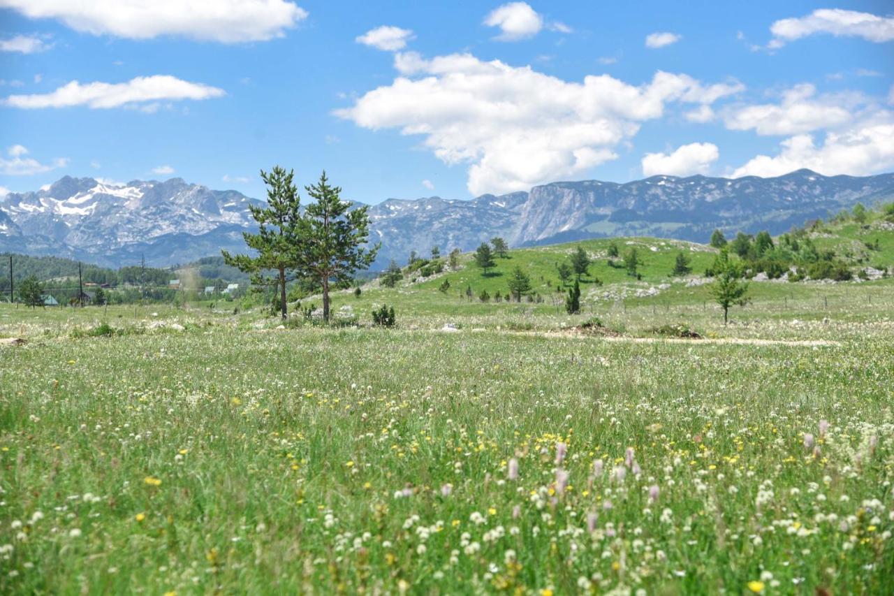 Big Bear Villas Žabljak Εξωτερικό φωτογραφία